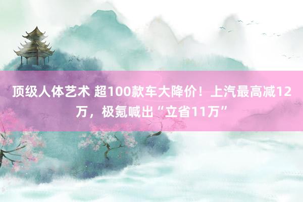 顶级人体艺术 超100款车大降价！上汽最高减12万，极氪喊出“立省11万”