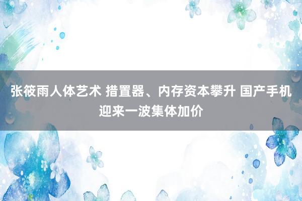 张筱雨人体艺术 措置器、内存资本攀升 国产手机迎来一波集体加价