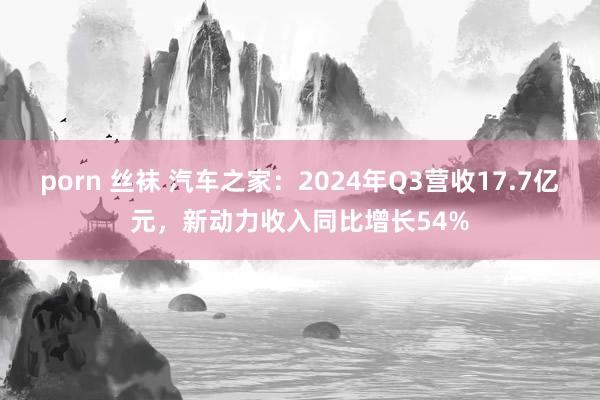 porn 丝袜 汽车之家：2024年Q3营收17.7亿元，新动力收入同比增长54%