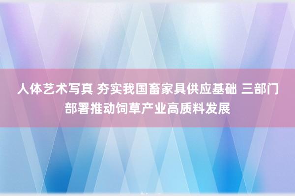 人体艺术写真 夯实我国畜家具供应基础 三部门部署推动饲草产业高质料发展