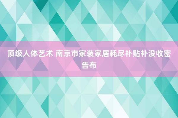 顶级人体艺术 南京市家装家居耗尽补贴补没收密告布