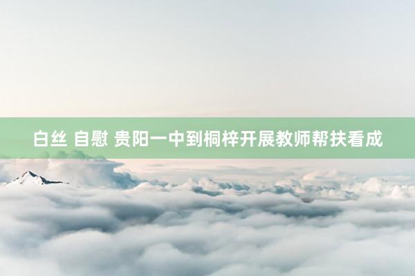 白丝 自慰 贵阳一中到桐梓开展教师帮扶看成