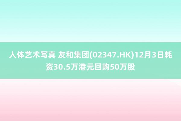 人体艺术写真 友和集团(02347.HK)12月3日耗资30.5万港元回购50万股