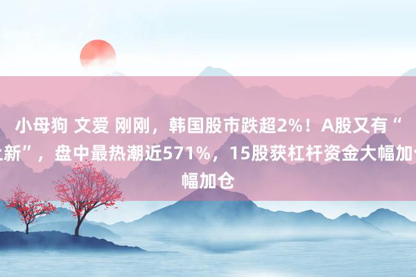 小母狗 文爱 刚刚，韩国股市跌超2%！A股又有“上新”，盘中最热潮近571%，15股获杠杆资金大幅加仓