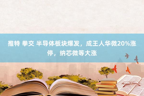 推特 拳交 半导体板块爆发，成王人华微20%涨停，纳芯微等大涨