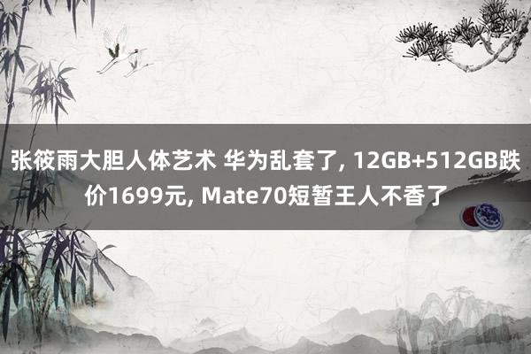 张筱雨大胆人体艺术 华为乱套了， 12GB+512GB跌价1699元， Mate70短暂王人不香了