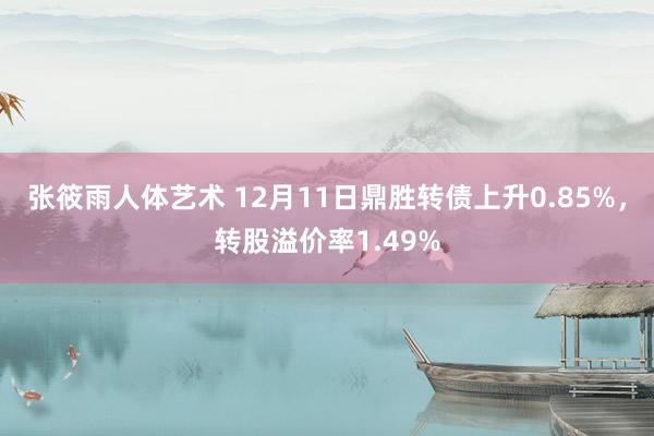 张筱雨人体艺术 12月11日鼎胜转债上升0.85%，转股溢价率1.49%