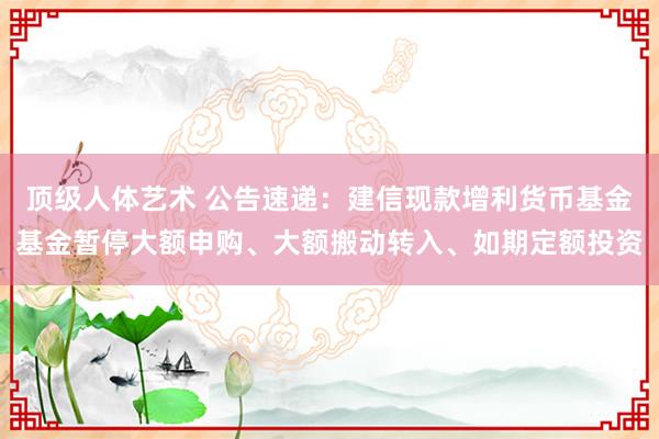 顶级人体艺术 公告速递：建信现款增利货币基金基金暂停大额申购、大额搬动转入、如期定额投资