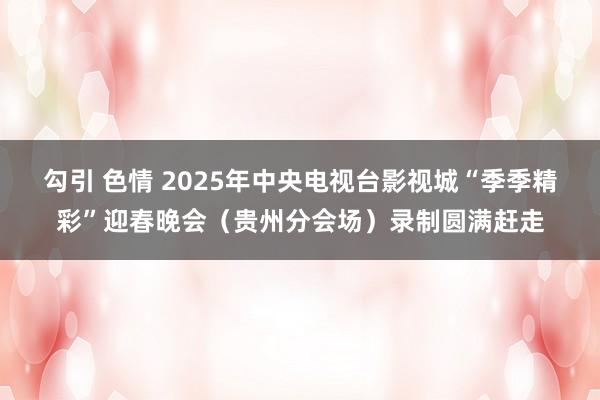 勾引 色情 2025年中央电视台影视城“季季精彩”迎春晚会（贵州分会场）录制圆满赶走