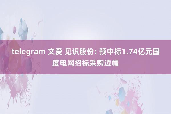 telegram 文爱 见识股份: 预中标1.74亿元国度电网招标采购边幅