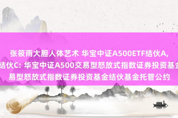 张筱雨大胆人体艺术 华宝中证A500ETF结伙A，华宝中证A500ETF结伙C: 华宝中证A500交易型怒放式指数证券投资基金结伙基金托管公约