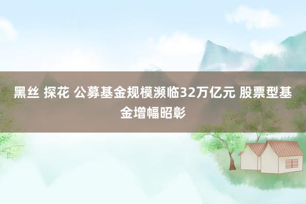 黑丝 探花 公募基金规模濒临32万亿元 股票型基金增幅昭彰