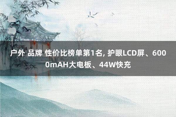 户外 品牌 性价比榜单第1名， 护眼LCD屏、6000mAH大电板、44W快充