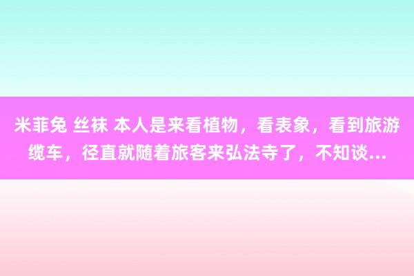 米菲兔 丝袜 本人是来看植物，看表象，看到旅游缆车，径直就随着旅客来弘法寺了，不知谈...