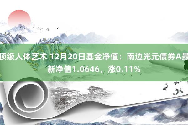 顶级人体艺术 12月20日基金净值：南边光元债券A最新净值1.0646，涨0.11%