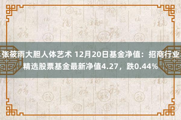 张筱雨大胆人体艺术 12月20日基金净值：招商行业精选股票基金最新净值4.27，跌0.44%