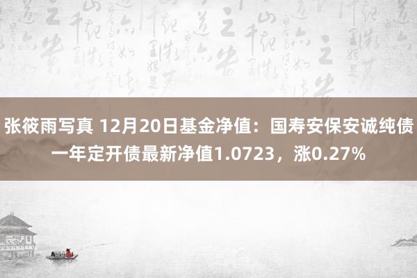 张筱雨写真 12月20日基金净值：国寿安保安诚纯债一年定开债最新净值1.0723，涨0.27%