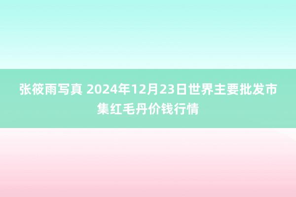 张筱雨写真 2024年12月23日世界主要批发市集红毛丹价钱行情