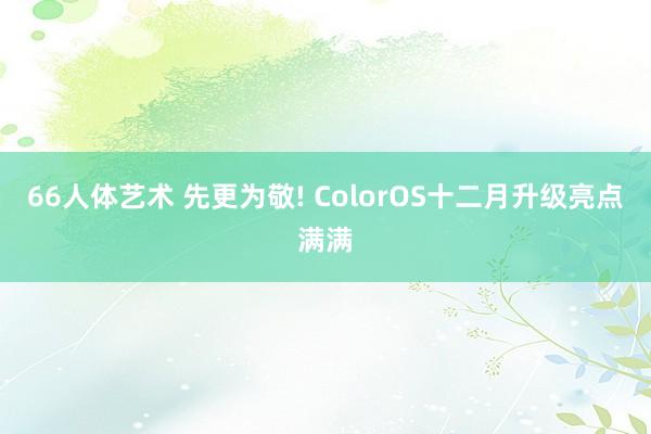 66人体艺术 先更为敬! ColorOS十二月升级亮点满满