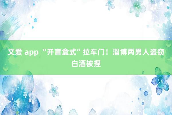 文爱 app “开盲盒式”拉车门！淄博两男人盗窃白酒被捏