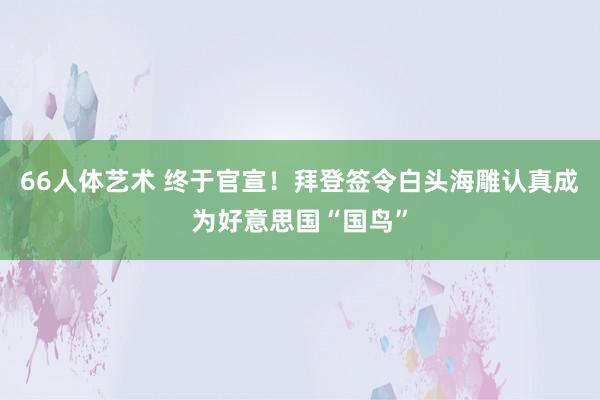 66人体艺术 终于官宣！拜登签令白头海雕认真成为好意思国“国鸟”