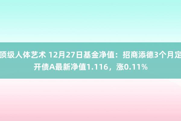 顶级人体艺术 12月27日基金净值：招商添德3个月定开债A最新净值1.116，涨0.11%