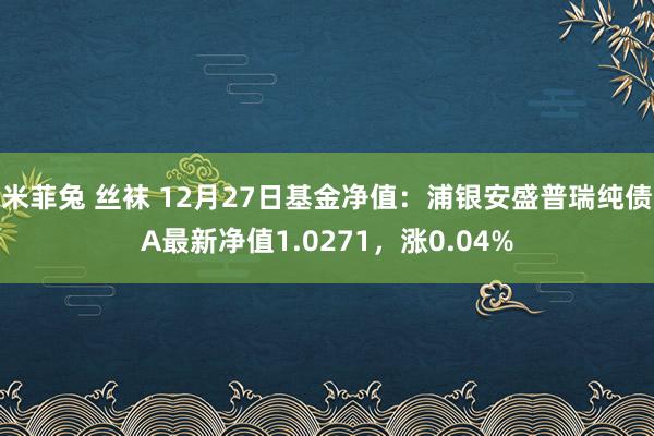 米菲兔 丝袜 12月27日基金净值：浦银安盛普瑞纯债A最新净值1.0271，涨0.04%