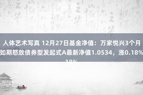 人体艺术写真 12月27日基金净值：万家悦兴3个月如期怒放债券型发起式A最新净值1.0534，涨0.18%