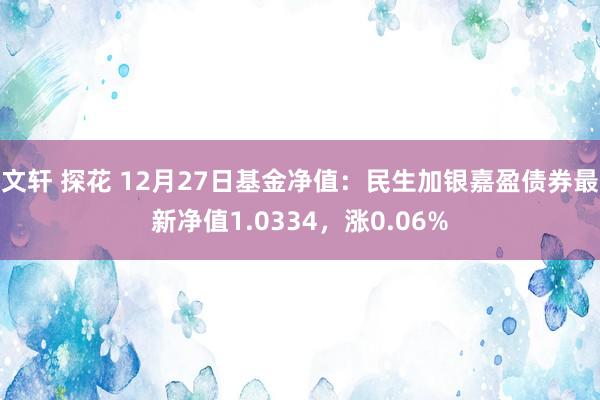 文轩 探花 12月27日基金净值：民生加银嘉盈债券最新净值1.0334，涨0.06%