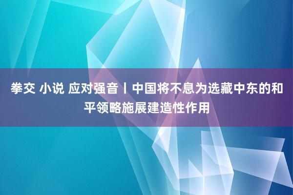 拳交 小说 应对强音丨中国将不息为选藏中东的和平领略施展建造性作用