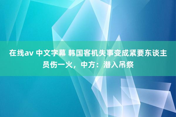 在线av 中文字幕 韩国客机失事变成紧要东谈主员伤一火，中方：潜入吊祭