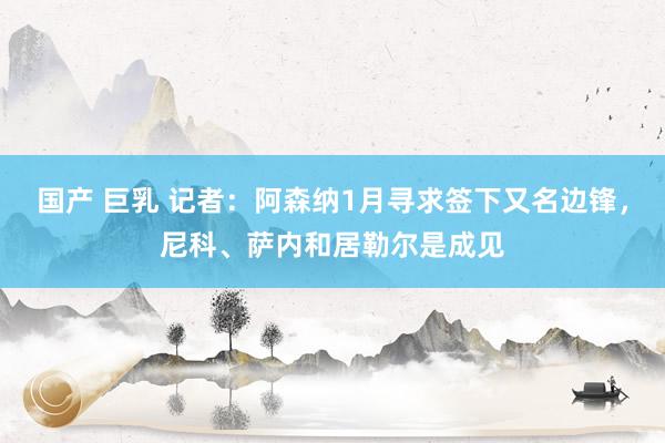 国产 巨乳 记者：阿森纳1月寻求签下又名边锋，尼科、萨内和居勒尔是成见