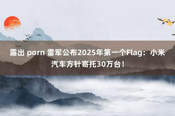 露出 porn 雷军公布2025年第一个Flag：小米汽车方针寄托30万台！