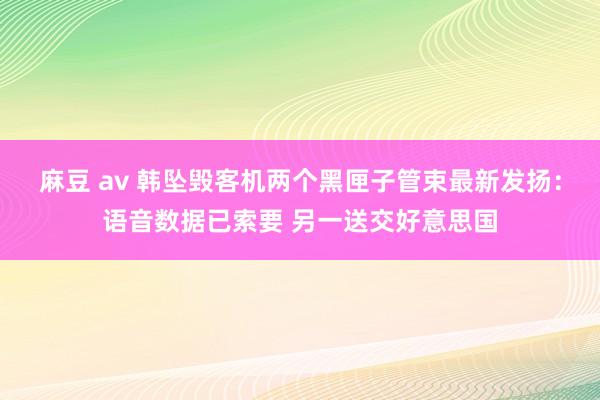 麻豆 av 韩坠毁客机两个黑匣子管束最新发扬：语音数据已索要 另一送交好意思国