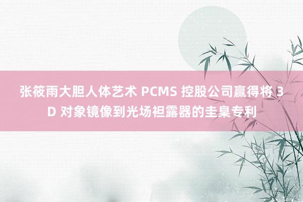 张筱雨大胆人体艺术 PCMS 控股公司赢得将 3D 对象镜像到光场袒露器的圭臬专利