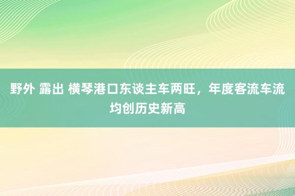 野外 露出 横琴港口东谈主车两旺，年度客流车流均创历史新高