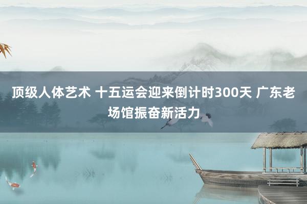 顶级人体艺术 十五运会迎来倒计时300天 广东老场馆振奋新活力