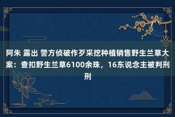 阿朱 露出 警方侦破作歹采挖种植销售野生兰草大案：查扣野生兰草6100余珠，16东说念主被判刑