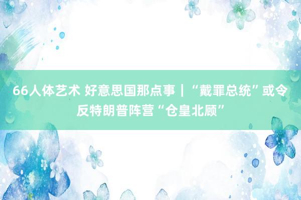 66人体艺术 好意思国那点事｜“戴罪总统”或令反特朗普阵营“仓皇北顾”