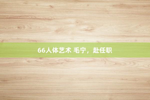 66人体艺术 毛宁，赴任职