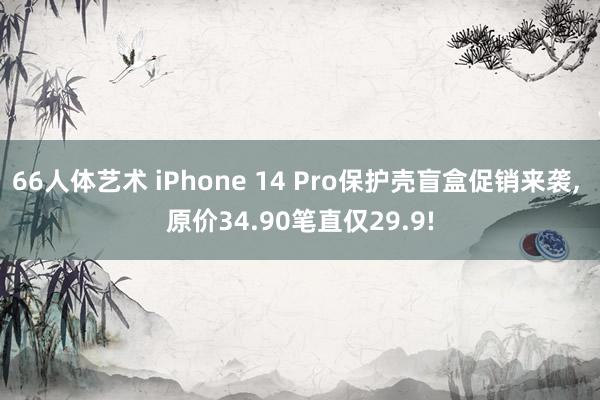 66人体艺术 iPhone 14 Pro保护壳盲盒促销来袭， 原价34.90笔直仅29.9!